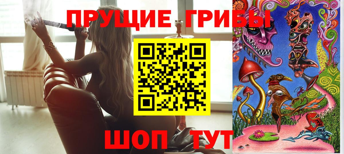 Псилоцибиновые грибы мицелий  Вход с VPN  Галлюциногенные грибы прущие грибы  Камышин 
