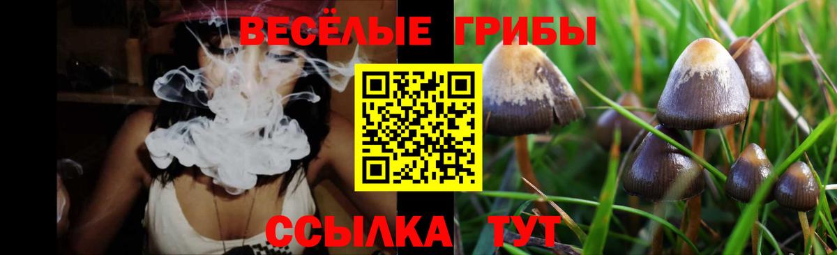 Псилоцибиновые грибы прущие грибы Камышин